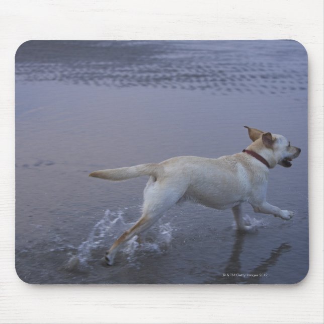 Mousepad Gloucester, Massachusetts, EUA (Frente)