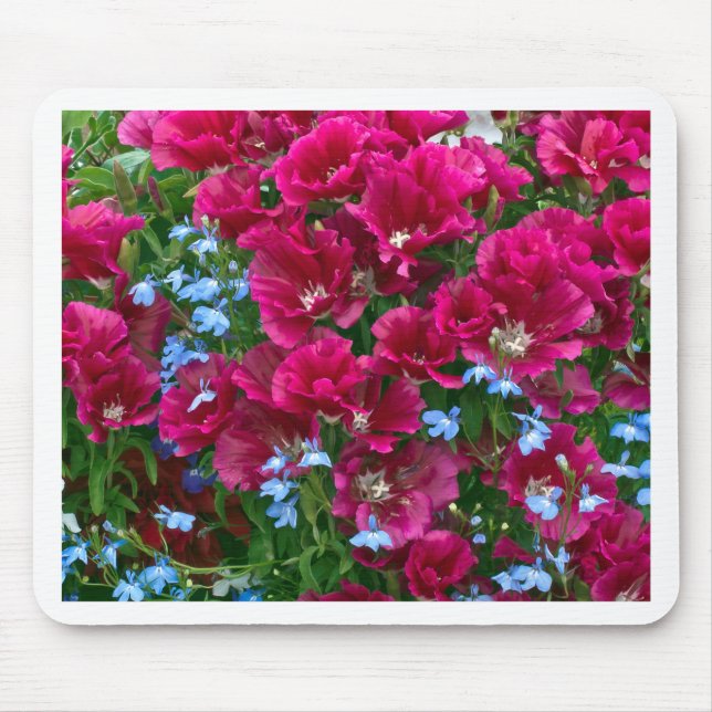 Mousepad Godetia E Lobelia Gifts (Frente)