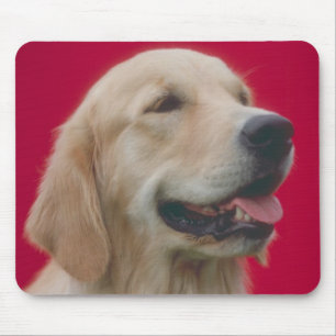 Mousepad Golden retriever