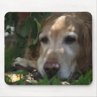 Mousepad Golden retriever