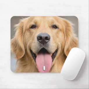 Mousepad Golden Retriever com um Comprimido