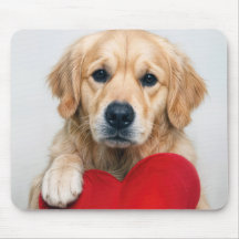 Golden Retriever Com uma Almofada de Coração Verme