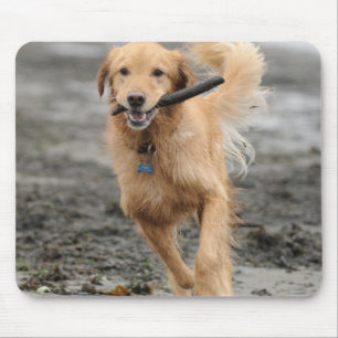Mousepad Golden Retriever Correndo Com Pau Na Boca