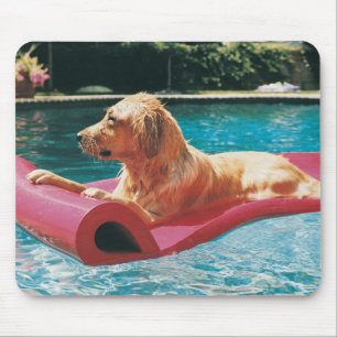 Mousepad Golden retriever que encontra-se em uma cama de ar
