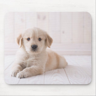 Mousepad Golden retriever que encontra-se para baixo