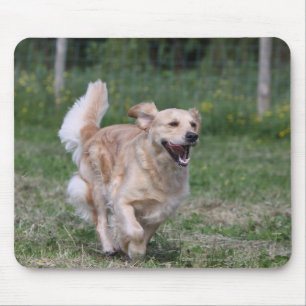 Mousepad Golden retriever que funciona 1