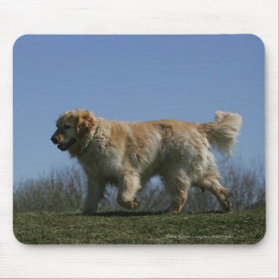 Mousepad Golden retriever que funciona 3