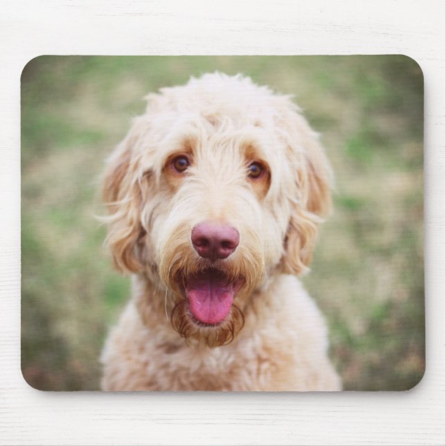 Mousepad Goldendoodle sorrindo (Frente)