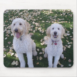 Mousepad GoldenDoodles nas folhas da queda