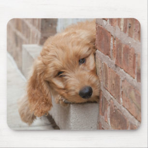 Mousepad Goldendoodododle Puppy Pupeking