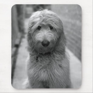Mousepad Goldendoodododododle No Quintal