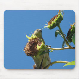 Mousepad Goldfinch