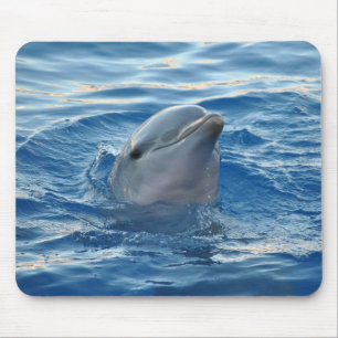 Mousepad Golfinho