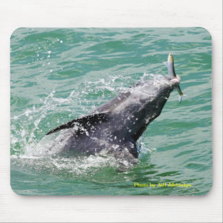 Mousepad Golfinho com almoço