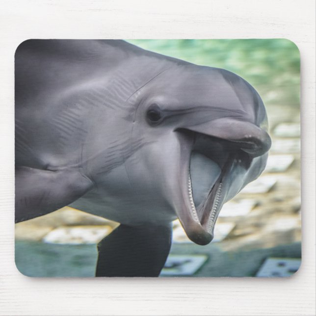 Mousepad Golfinho das imagens | de Getty (Frente)