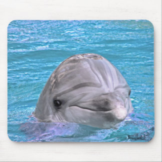 Mousepad Golfinho de sorriso