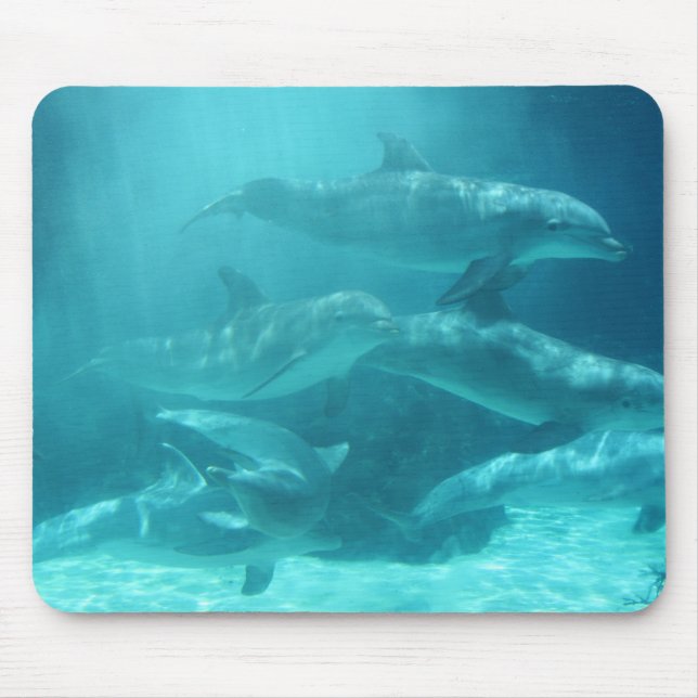 Mousepad Golfinhos (Frente)