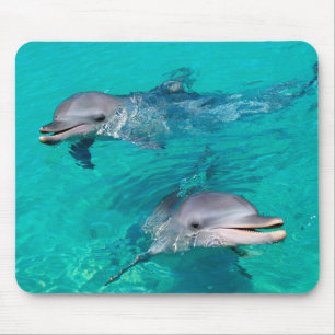 Mousepad Golfinhos