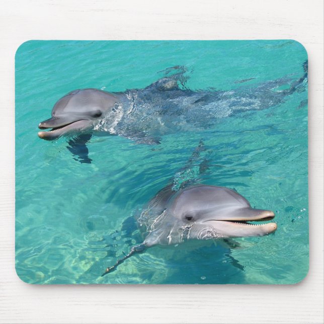 Mousepad Golfinhos (Frente)