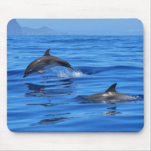 Mousepad Golfinhos felizes