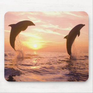 Mousepad Golfinhos-nariz-de-garrafa Tursiops truncatus