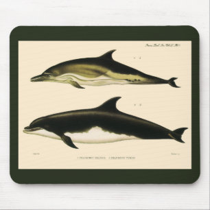 Mousepad Golfinhos Vintage, Animais Mamíferos Marinhos