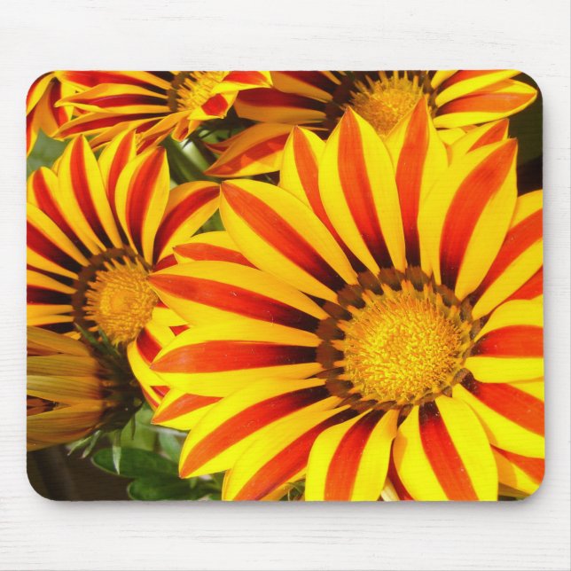 Mousepad Gorgeous Gazania (Frente)