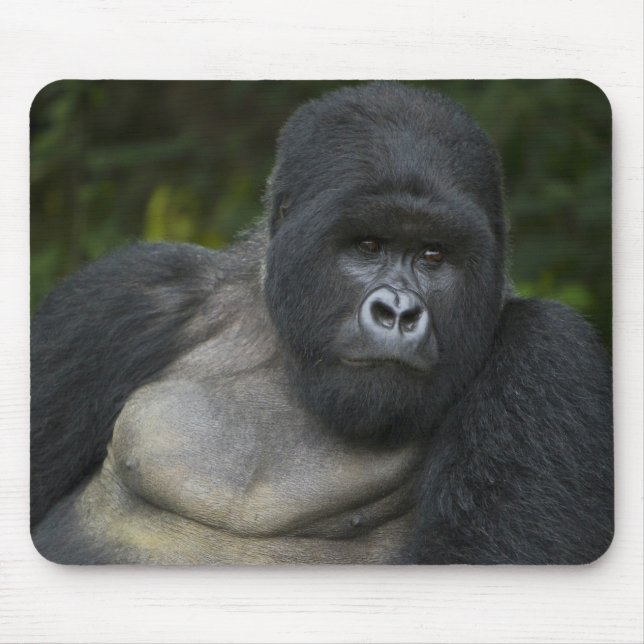 Mousepad Gorila da Montanha e Silverback (Frente)