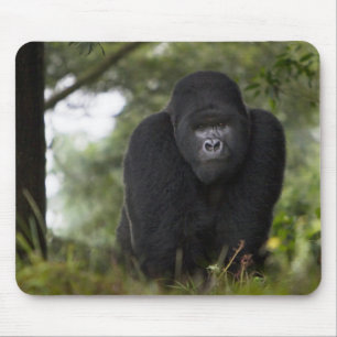 Mousepad Gorila da Montanha e Silverback