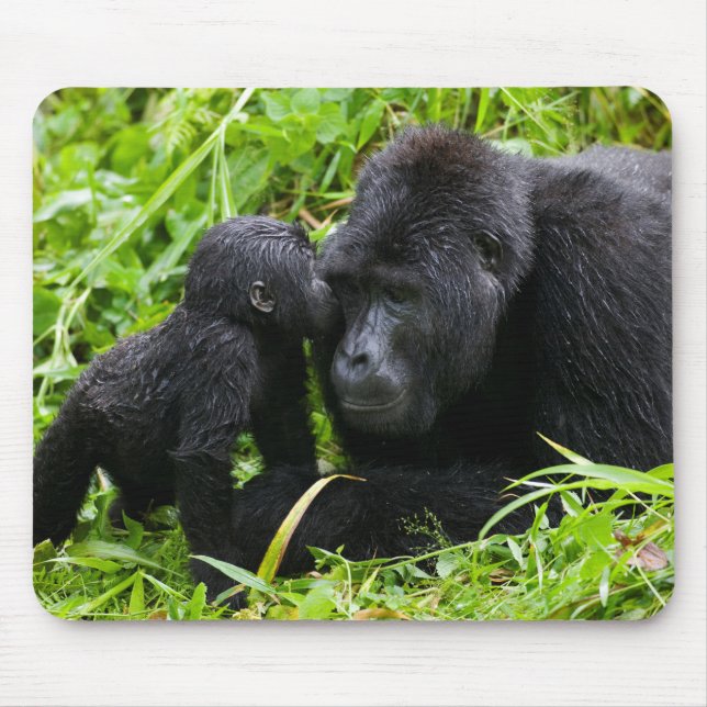 Mousepad Gorila da Montanha Infantil Beija Gorila Macho Sil (Frente)
