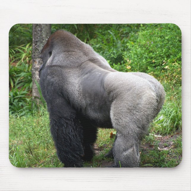 Mousepad Gorila do Silverback (Frente)