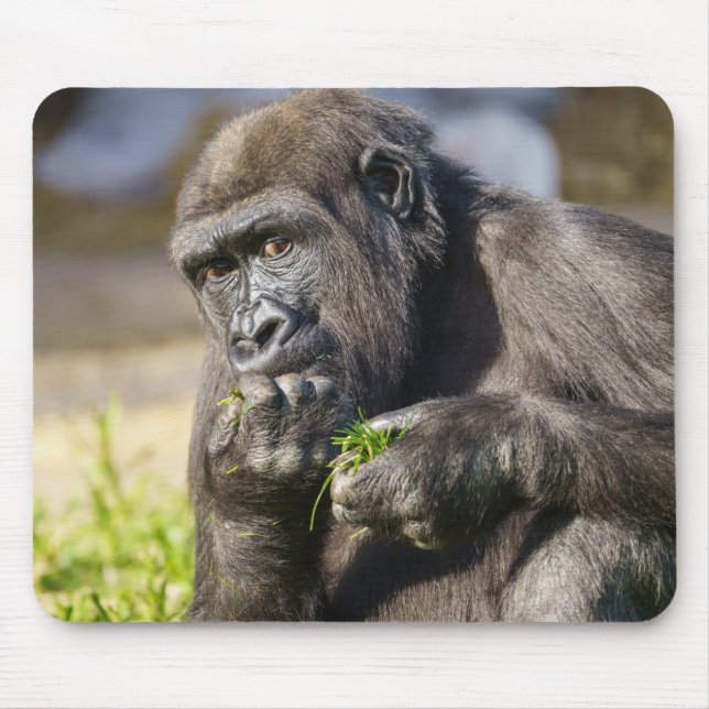 Mousepad Gorilla Youngster (Frente)