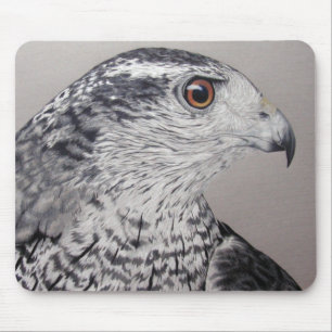 Mousepad Goshawk do norte
