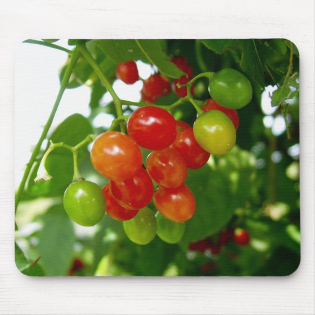 Mousepad Gosto das Berries (Frente)
