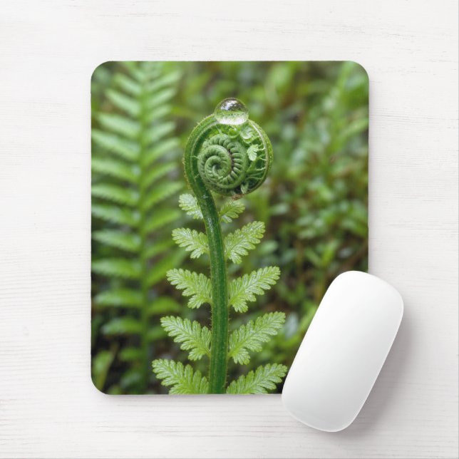 Mousepad Gota de chuva em samambaia desabrochada (Com mouse)