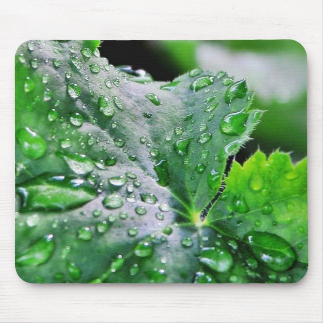 Mousepad Gotas das gotas de água do orvalho (Frente)