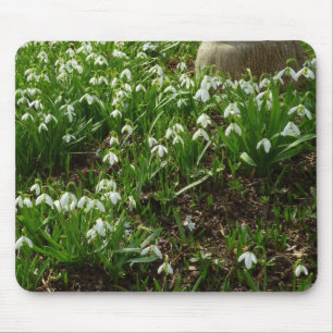 Mousepad Gotas de neve II (Galanthus) Primavera