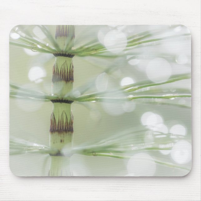 Mousepad Gotículas de Orvalho na Planta de Cavalinha | Seab (Frente)