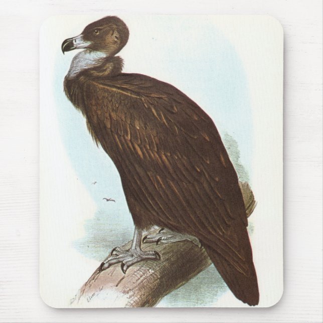 Mousepad Gould - abutre preto - monachus do Aegypius (Frente)
