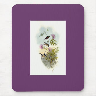 Mousepad Gould - colibri Curto-Atado de Woodstar