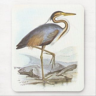 Mousepad Gould - garça-real roxa - purpurea do Ardea