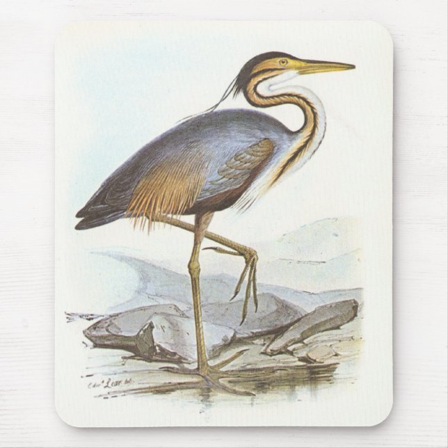 Mousepad Gould - garça-real roxa - purpurea do Ardea (Frente)