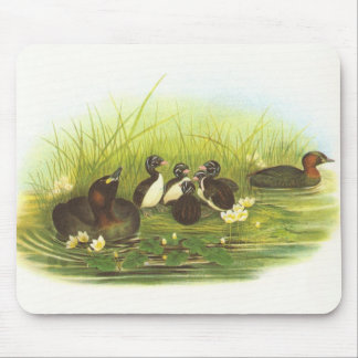 Mousepad Gould - Grebe pequeno - ruficollis do Podiceps