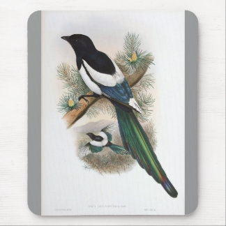 Mousepad Gould - Magpie Branco-Voado