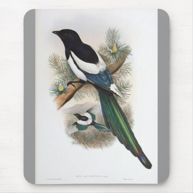 Mousepad Gould - Magpie Branco-Voado (Frente)