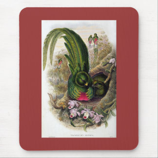 Mousepad Gould - Quetzal