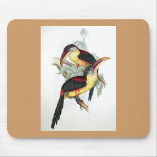 Mousepad Gould - tapete do rato Onda-Com crista de Aracari