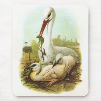 Mousepad Gould - Tempestade Branca - Ciconia ciconia