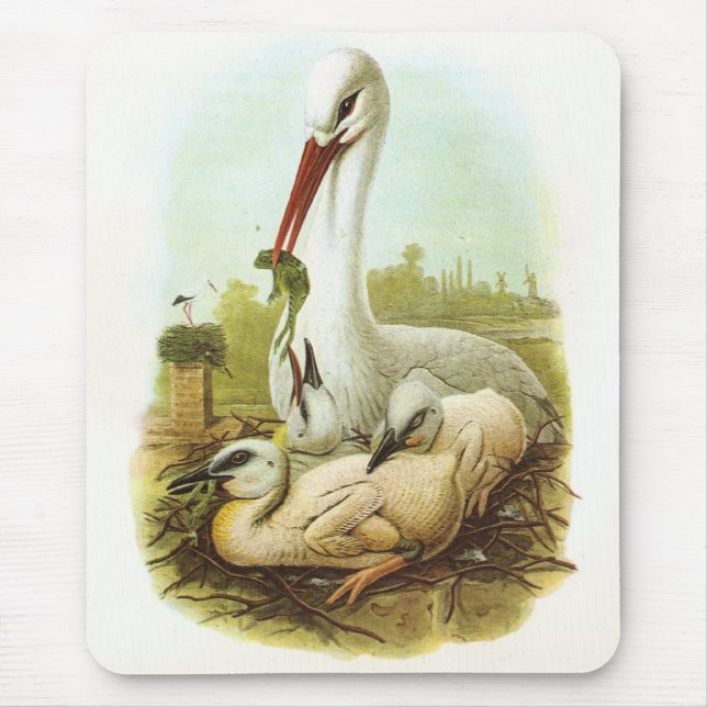 Mousepad Gould - Tempestade Branca - Ciconia ciconia (Frente)
