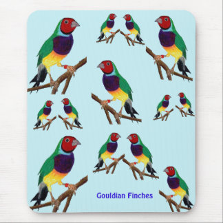 Mousepad ~ Gouldian Finch ~ Arte Original ~ Pad do Mouse